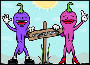Welcome to the Chillimansales blog